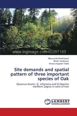 Site demands and spatial pattern of three important species of Oak 1