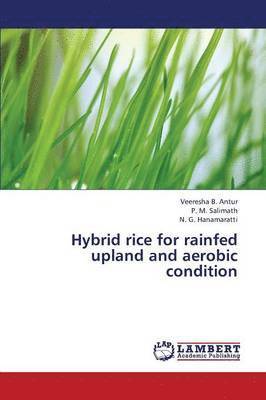 Hybrid Rice for Rainfed Upland and Aerobic Condition 1
