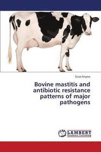 bokomslag Bovine Mastitis and Antibiotic Resistance Patterns of Major Pathogens