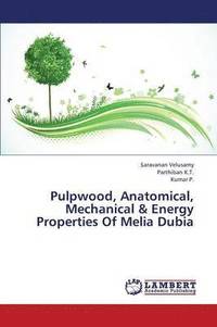 bokomslag Pulpwood, Anatomical, Mechanical & Energy Properties of Melia Dubia