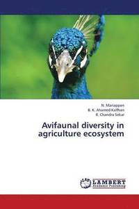 bokomslag Avifaunal Diversity in Agriculture Ecosystem