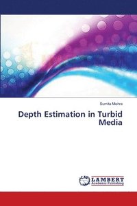 bokomslag Depth Estimation in Turbid Media
