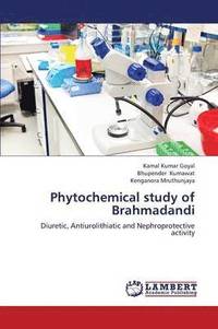 bokomslag Phytochemical Study of Brahmadandi