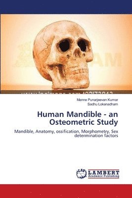 bokomslag Human Mandible - an Osteometric Study