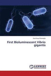 bokomslag First Bioluminescent Vibrio Gigantis