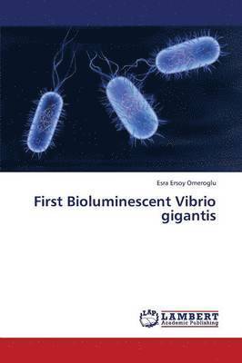 First Bioluminescent Vibrio Gigantis 1