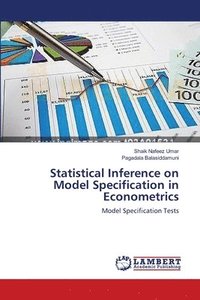 bokomslag Statistical Inference on Model Specification in Econometrics