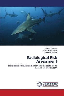 bokomslag Radiological Risk Assessment