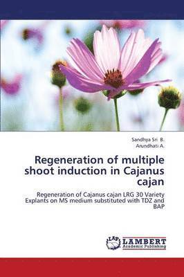 bokomslag Regeneration of Multiple Shoot Induction in Cajanus Cajan