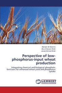 bokomslag Perspective of low-phosphorus-input wheat production