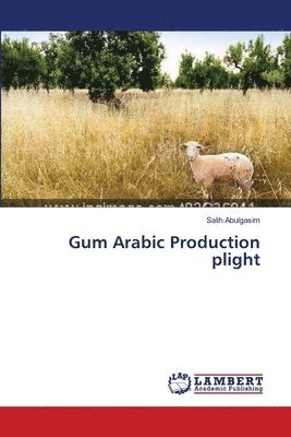 Gum Arabic Production plight 1