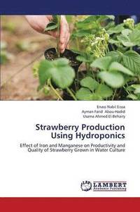 bokomslag Strawberry Production Using Hydroponics