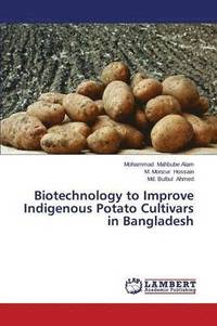 bokomslag Biotechnology to Improve Indigenous Potato Cultivars in Bangladesh