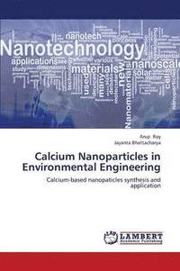 bokomslag Calcium Nanoparticles in Environmental Engineering