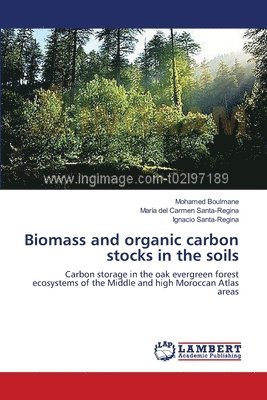Biomass and organic carbon stocks in the soils 1