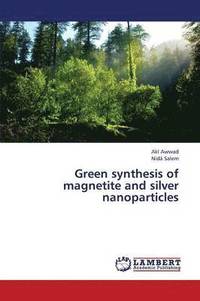 bokomslag Green Synthesis of Magnetite and Silver Nanoparticles