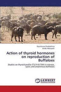 bokomslag Action of Thyroid Hormones on Reproduction of Buffaloes