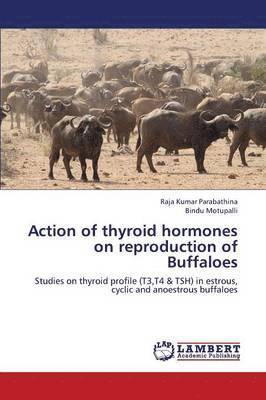 Action of Thyroid Hormones on Reproduction of Buffaloes 1