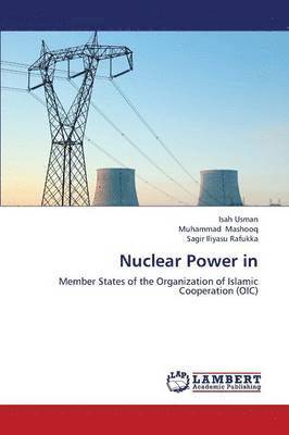 bokomslag Nuclear Power in