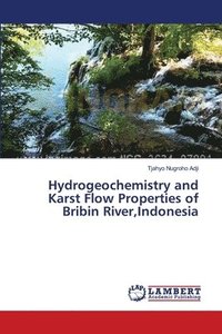 bokomslag Hydrogeochemistry and Karst Flow Properties of Bribin River, Indonesia