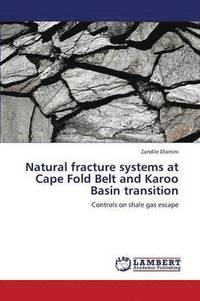 bokomslag Natural Fracture Systems at Cape Fold Belt and Karoo Basin Transition