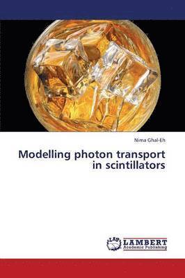 Modelling Photon Transport in Scintillators 1