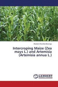 bokomslag Intercroping Maize (Zea Mays L.) and Artemisia (Artemisia Annua L.)