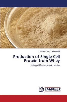 bokomslag Production of Single Cell Protein from Whey