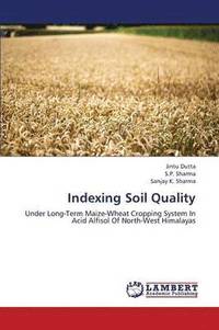 bokomslag Indexing Soil Quality