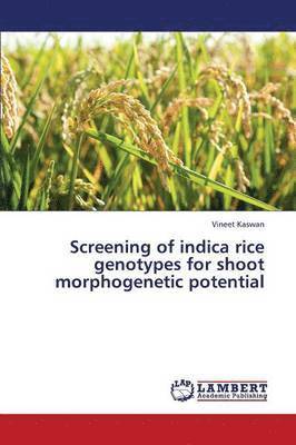 Screening of Indica Rice Genotypes for Shoot Morphogenetic Potential 1