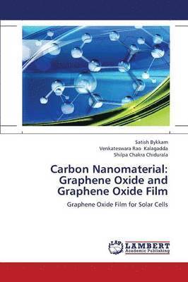 bokomslag Carbon Nanomaterial