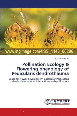 Pollination Ecology & Flowering phenology of Pedicularis dendrothauma 1