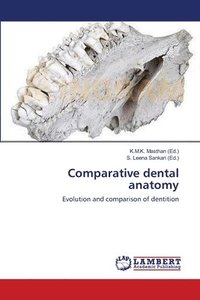 bokomslag Comparative dental anatomy