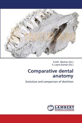 Comparative dental anatomy 1