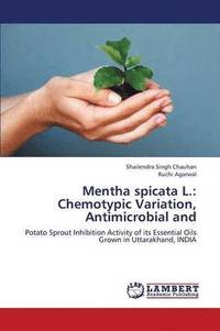 bokomslag Mentha Spicata L.