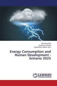 bokomslag Energy Consumption and Human Development - Scinario 2025