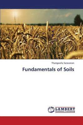 Fundamentals of Soils 1