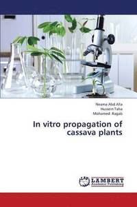 bokomslag In Vitro Propagation of Cassava Plants