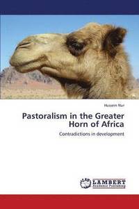 bokomslag Pastoralism in the Greater Horn of Africa