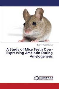 bokomslag A Study of Mice Teeth Over-Expressing Amelotin During Amelogenesis
