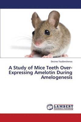 bokomslag A Study of Mice Teeth Over-Expressing Amelotin During Amelogenesis