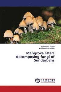 bokomslag Mangrove litters decomposing fungi of Sundarbans