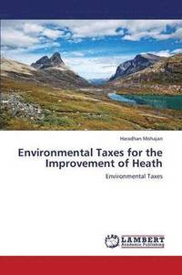 bokomslag Environmental Taxes for the Improvement of Heath