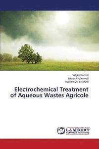 bokomslag Electrochemical Treatment of Aqueous Wastes Agricole