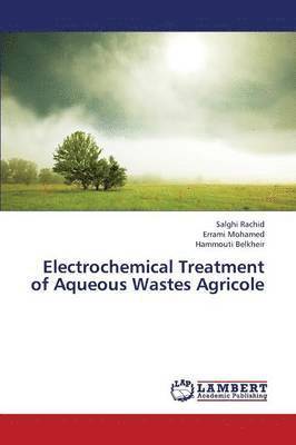 Electrochemical Treatment of Aqueous Wastes Agricole 1