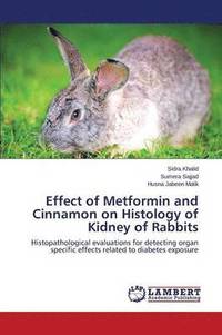 bokomslag Effect of Metformin and Cinnamon on Histology of Kidney of Rabbits