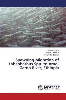 Spawning Migration of Labeobarbus Spp. to Arno-Garno River, Ethiopia 1