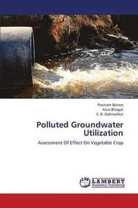 bokomslag Polluted Groundwater Utilization