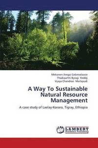 bokomslag A Way To Sustainable Natural Resource Management