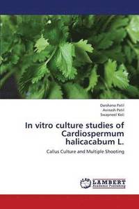 bokomslag In vitro culture studies of Cardiospermum halicacabum L.